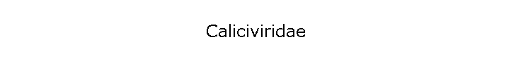 Caliciviridae
