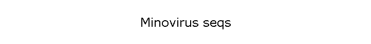 Minovirus seqs