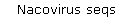 Nacovirus seqs