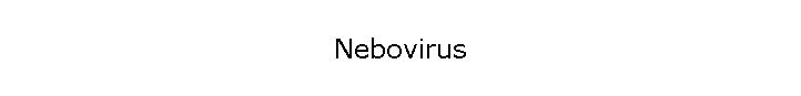 Nebovirus