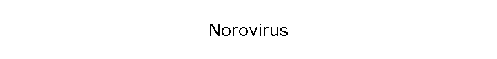 Norovirus