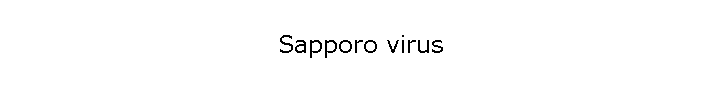 Sapporo virus