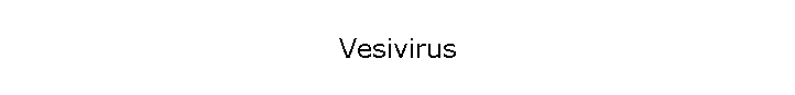 Vesivirus