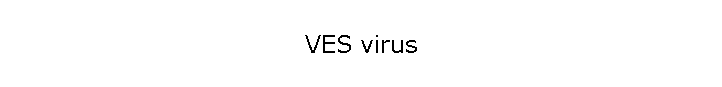 VES virus